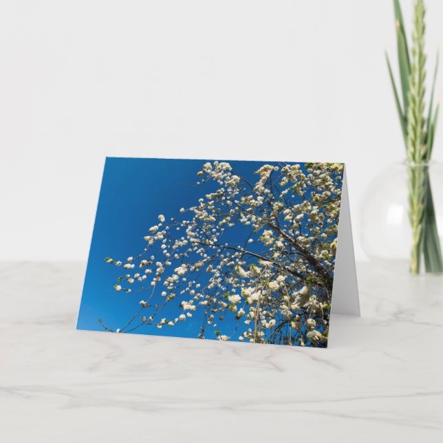 Blank card with blossom tree image (Front)