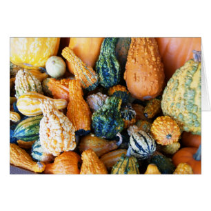 Blank Card with Gourd Background