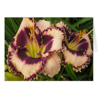 Blank Card with Pair of Eyed Daylilies