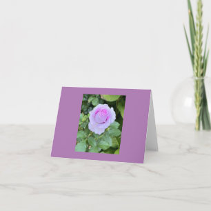 Blank Card With Rose