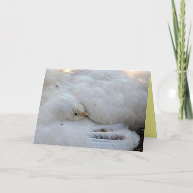 Blank Card with Verse (Front)