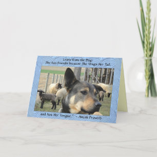 Blank Cards! Dog Proverb. Thank You Card