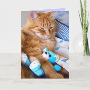 Blank Cat Cards