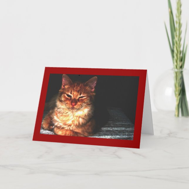 Blank Cat Greeting card... Card (Front)