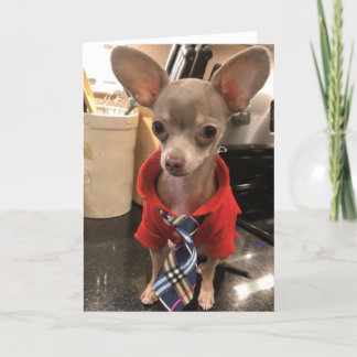 Blank Chihuahua greeting card
