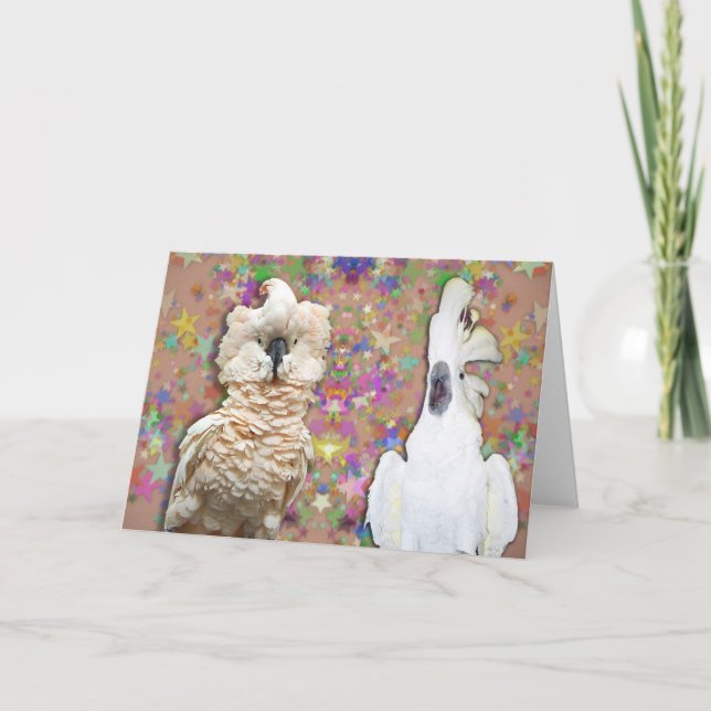 Blank Cockatoo Greeting Card w Moluccan Umbrella (Front)