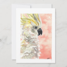 Blank - Cockatoo Watercolor