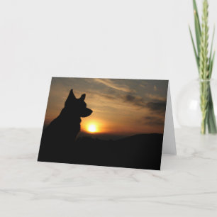 Blank Corgi at Sunset Card