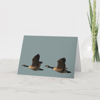 Blank Customisable Flying Geese Card