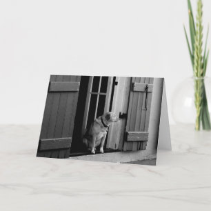 Blank Customisable Lucky Dog Greeting Card