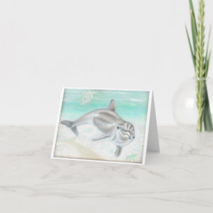 blank dolphin note cards