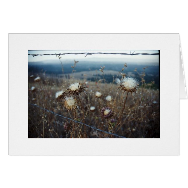 blank floral (Front Horizontal)