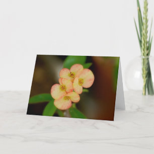 Blank Floral Card