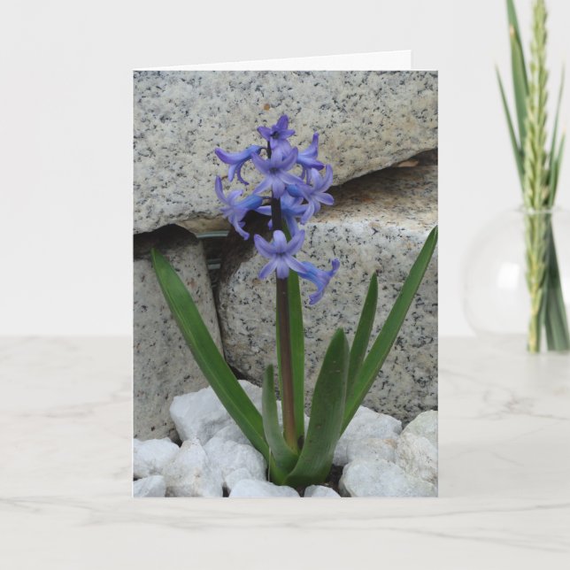 Blank Flower Card (Front)
