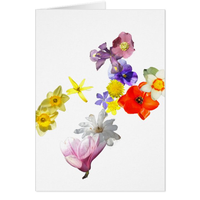 Blank flower card (Front)