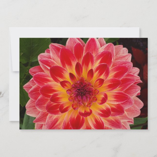 Blank Folded Invitation (Front)