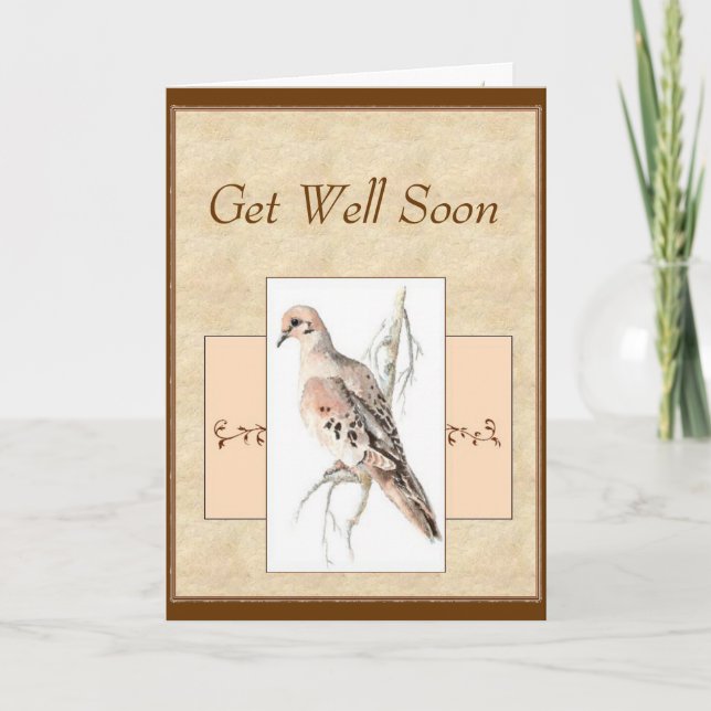 Blank Get Well Soon Mourning Dove, Turtle Dove Card (Front)