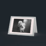 Blank Golden Retriever Puppy Greeting Card<br><div class="desc">Arnie as a puppy posing for the camera.  I hope he can brighten your day.</div>