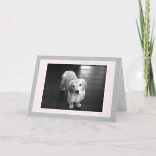 Blank Golden Retriever Puppy Greeting Card