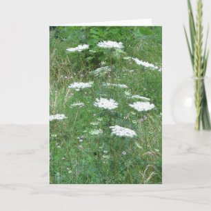 Blank Greeting Card
