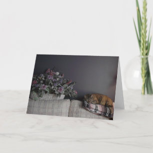 Blank Greeting Card
