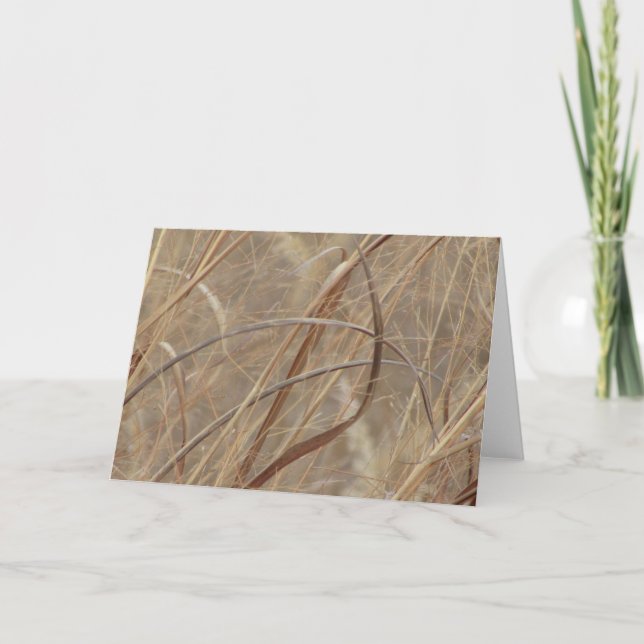 Blank Greeting Card (Front)