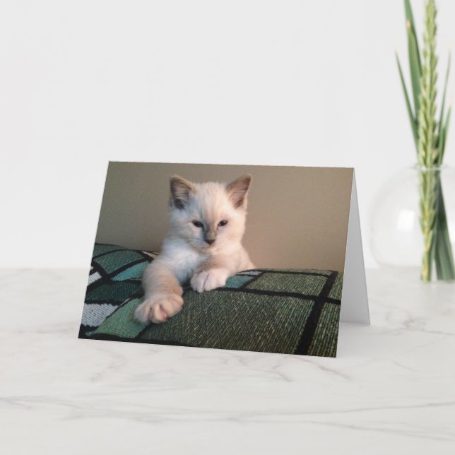 Blank Greeting Card (Front)