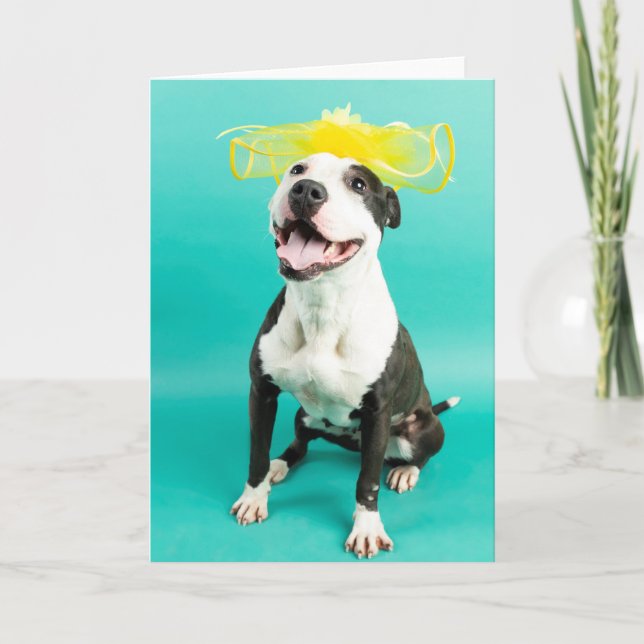 Blank greeting card (Front)