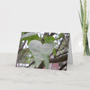 Blank Greeting Card