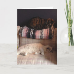 Blank Greeting Card