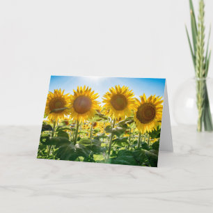 Blank Greeting Card