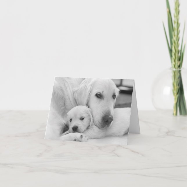 Blank Greeting Card (Front)