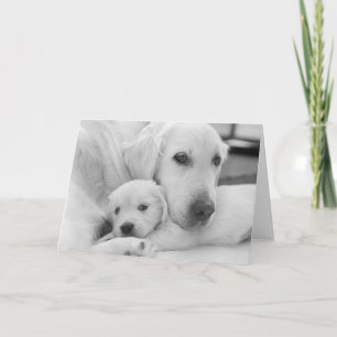 Blank Greeting Card