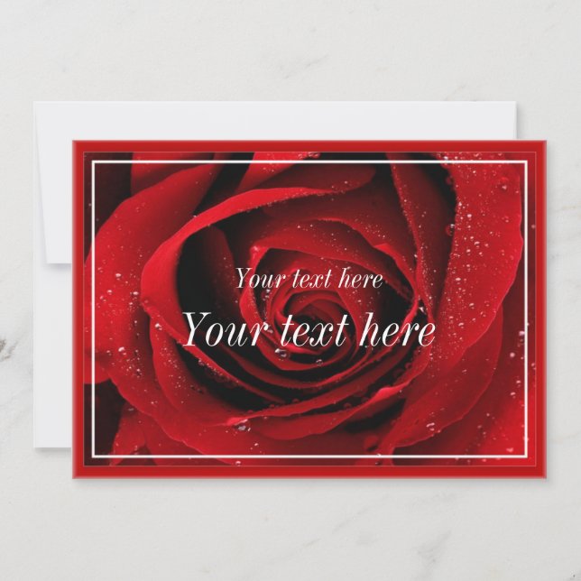 Blank Greeting Card (Front)