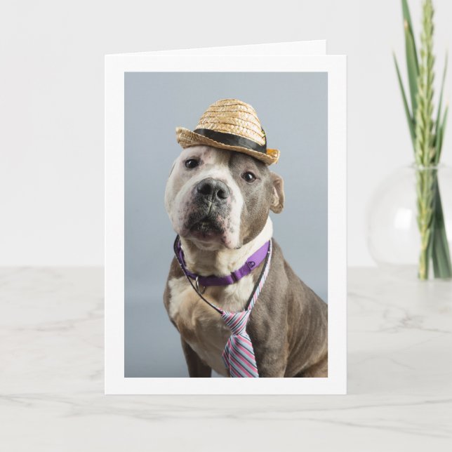 Blank greeting card (Front)