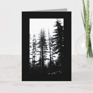blank greeting card note B & W photo pine trees
