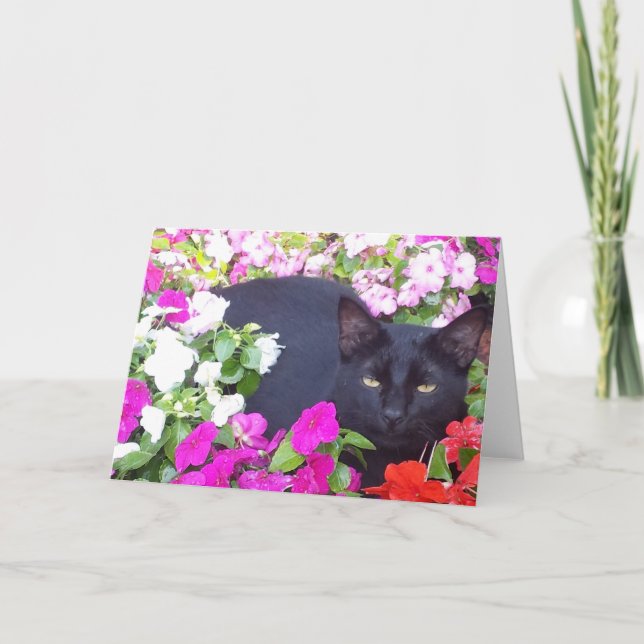 Blank Greeting Card with Cat in Flowers (Front)