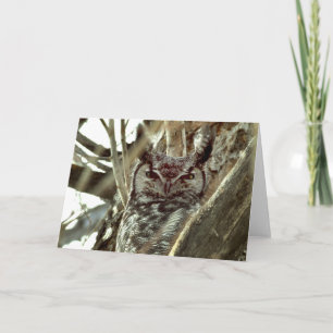 Blank greeting card with Great Horned Owl photo
