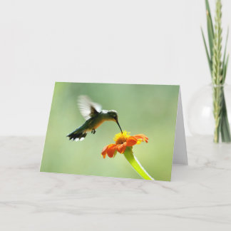 Blank greeting card with hummingbird and flower