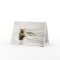 Blank Greeting Card with Otter photo