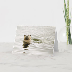 Blank Greeting Card with Otter photo