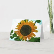 Blank greeting card with Sunflower photo