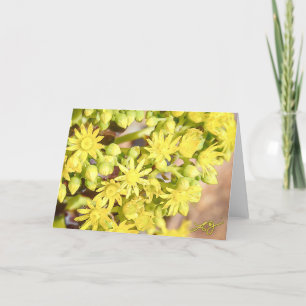 Blank Greeting Card with Yellow Succulent Blossoms