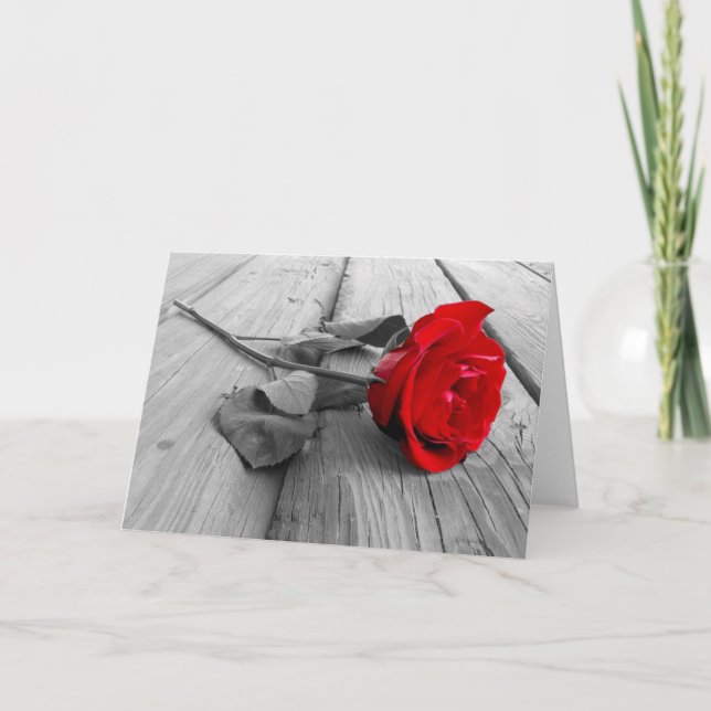 Blank Greeting Cards (Front)