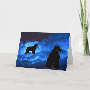 Blank Greeting ~ Newfies on Ice Card