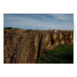 Blank_Hay Bales