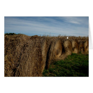 Blank_Hay Bales