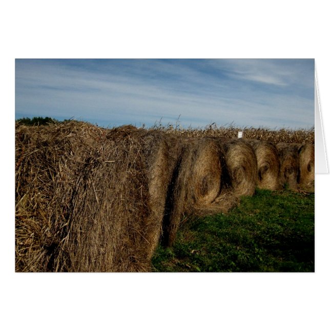 Blank_Hay Bales (Front Horizontal)