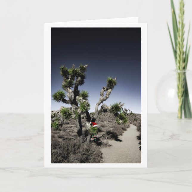 Blank Holiday Card | Christmas | Desert (Front)