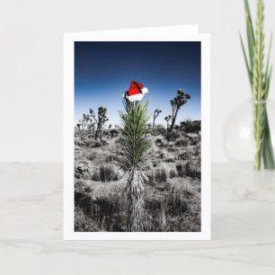 Blank Holiday Card   Greeting Card   Christmas